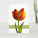 Search for tulips thank you cards Orange