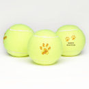 Search for dog tennis balls Modern