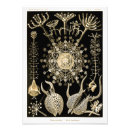 Search for high resolution posters Illustration