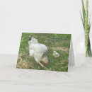 Search for chicken mothers day cards Hen