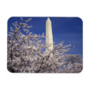 Search for washington dc magnets Bloom