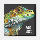 Search for lizard gifts Iguana