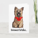 Search for cairn terrier christmas cards Dog