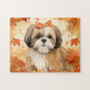 Search for shih tzu dog puzzles Fun