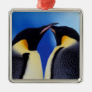 Search for antarctica ornaments Bird