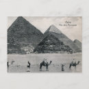Search for cairo postcards Vintage