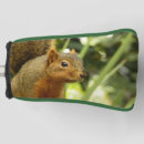 Search for squirrel golf head covers Photography
