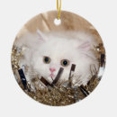 Search for persian cat ornaments Cute
