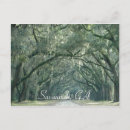Search for savannah ga postcards Spanish moss