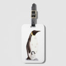 Search for penguin luggage tags Cool