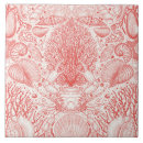 Search for seashell tiles Nautical