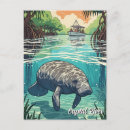 Search for florida manatee postcards Wildlife