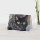 Search for black cat thank you cards Kitty