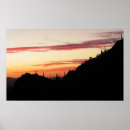 Search for tucson posters Saguaro national park
