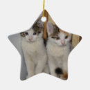 Search for kittens first ornaments Pets