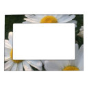 Search for daisy picture frames Garden