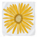 Search for white daisy accessories Whimsical