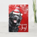 Search for newfoundland dog christmas cards Dogs