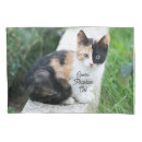 Search for cat pillowcases Funny