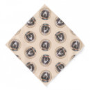 Search for spinone italiano Italian wire haired pointer