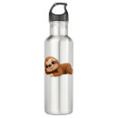 Search for sloth water bottles Alpaca