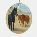 Search for north carolina ornaments Outer banks