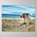 Search for dog posters Modern