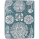 Search for teal ipad cases Coastal