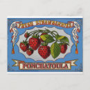 Search for vintage food postcards Strawberries