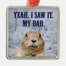Search for groundhog ornaments Rodent