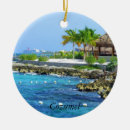 Search for cozumel ornaments Tropical