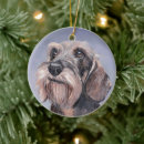 Search for long haired dachshund ornaments Pet