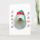Search for old english sheepdog cards Animals