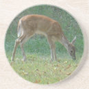 Search for spotted coasters deer
