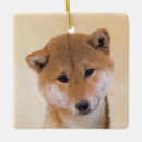 Search for shiba inu ornaments Puppy