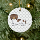 Search for long haired dachshund ornaments Doxie