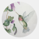 Search for hummingbird stickers Pink