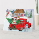 Search for delivery christmas cards Dog