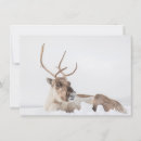 Search for reindeer cards Antlers