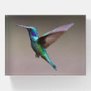 Search for acrylic paperweights Desk