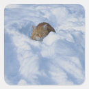 Search for cat stickers Animal