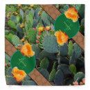 Search for cactus bandanas Southwest