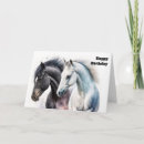 Search for horse cards Equine