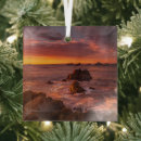 Search for carmel california ornaments Pacific ocean