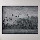 Search for black and white antique bird posters Vintage
