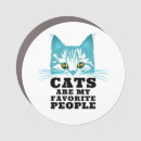 Search for fun magnets Cat