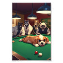 Search for dogs playing pool posters Humor