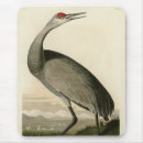 Search for bird mousepads Illustration