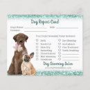Search for dog grooming promotion flyers Pet grooming business