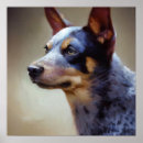 Search for blue heeler gifts Canine